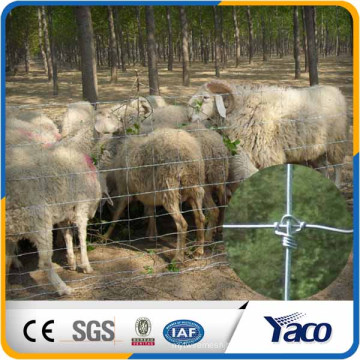 Фиксированный узел проволочной(13/48/6 - 330-ролл) используется для животной загородки/загородка овец 